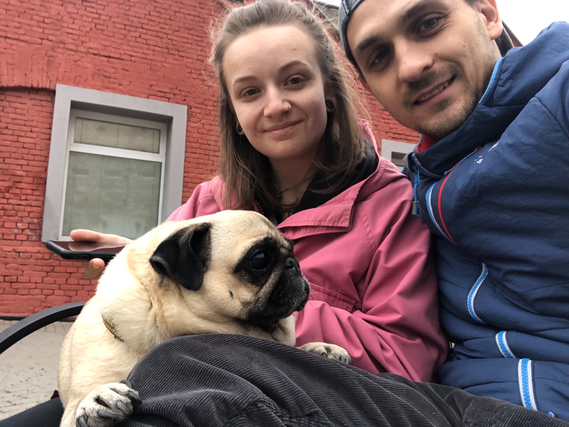 Luštění stínadel